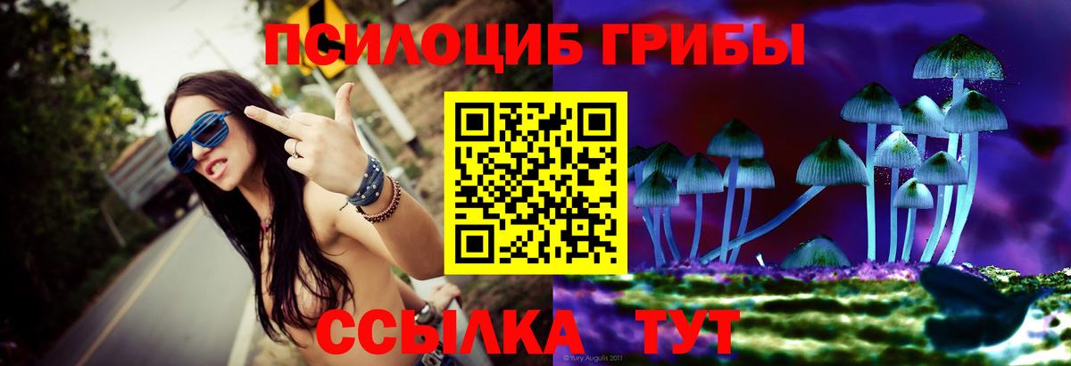 Казань  Псилоцибиновые грибы MAGIC MUSHROOMS  наркошоп  Вход с VPN 